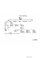 10th Biology notes.pdf